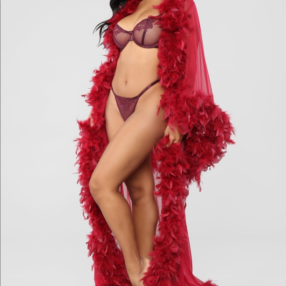 Mesh Robe From Fashion Nova.